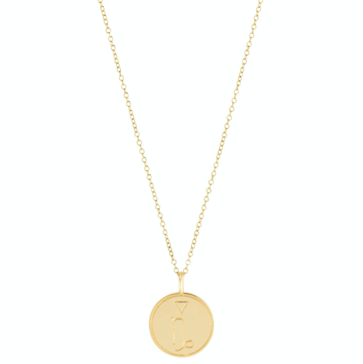 Double Sided Constellation Capricorn Necklace